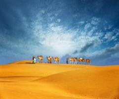 最新沙漠爆料新闻报道,最新爆料揭示神秘沙漠现象